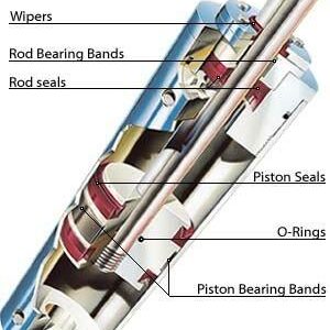 Hydraulic Seals
