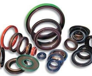 Rotary Shaft Oil Seals